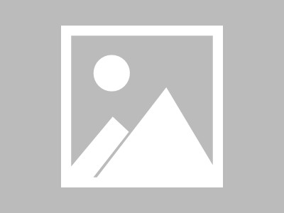 陕西省电子商务行业协会引领新引擎，助力陕西经济发展